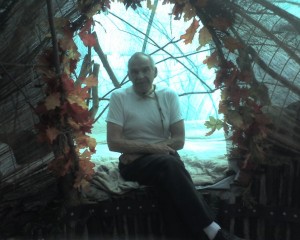 Red_Elk_in_dome_home