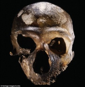 2013_Qalert_Neanderthals
