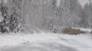 2013_TruNews_Snow