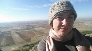 2013_YnetNews_Kobani_Rosenberg