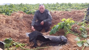 2013_Koenig_Israel_Gaza_rockets