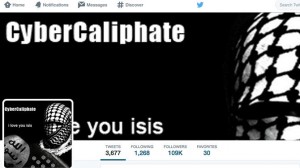 2011_Drudge_Pentagon_social_media