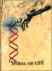 2011_Marzulli_spiral-of-life-logo