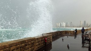 2011_Ynetnews_Tel_Aviv_port