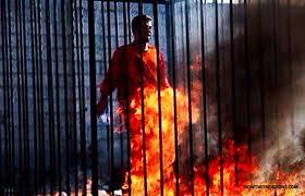 2011_Marzulli_Jordan_Pilot_Burned