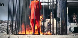 2011_Rosenberg_isis_burning_pilot