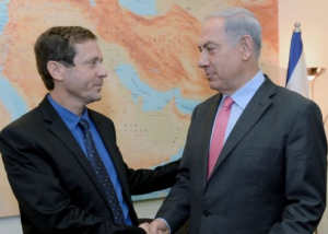 2011_Rosenberg_herzog_bibi