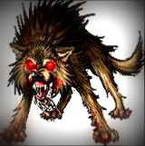 2011_Augusto_The-Vicious-Wolves