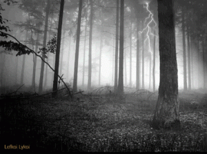 2011_A_Manataka_rain-in-forest