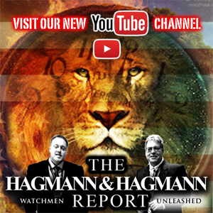 2011_HagmannandHagmann_youtube