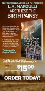 2011_Marzulli_DaysOfChaos