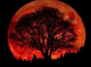 2011_Skywatchtv_blood-moon