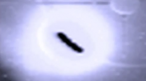 2011_CERN_blackhole3
