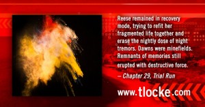 2011_Davis_Bunn_TrialRunQuoteGraphic_1024x536