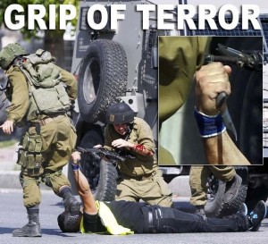 2011_Fox_News_GRIP_OF_TERROR