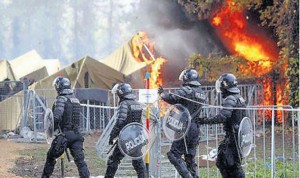 2011_Drudge_Migrants