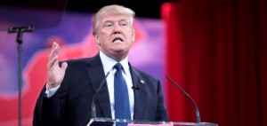 2011_Fox_News_WND_Donald_Trump