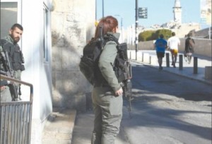 2016_Israel_Hayom_IDF_Israel