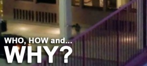 2016_Fox_News_Dallas_Texas_sniper