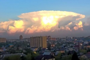 2016_Stewart_Best_Mushroom_Cloud