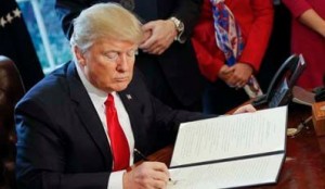 2016_fox_news_trump_court