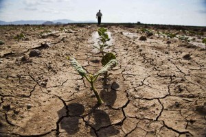 2016_a_skywatchtv_famine