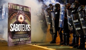 2016_a_a_skywatchtv_riots-saboteurs