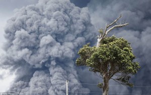 2016_deyo_hawaii_alert