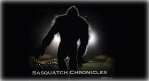 2016_a_sasquatch-slide-04