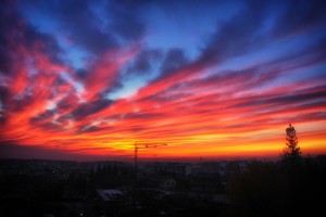 2016_commonsense_red-dawn
