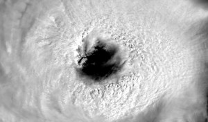 2016_drudge_florence4