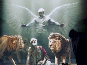 2016_z3news_angel_daniel_protection