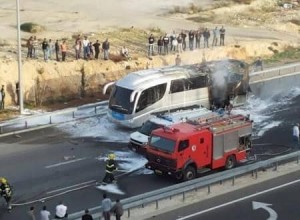 2016_qalert_hal_bus