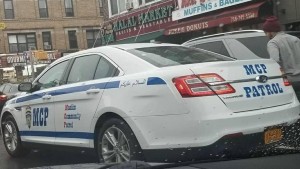 2016_Qalert_Hal_NY-police