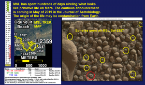 2016_A_A_A_Roffman_Mars_Life_msl_circuit_1000x585