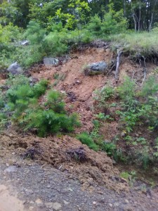2016_Larry_Taylor_Mountain_Slide2