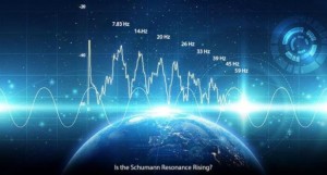 2016_Best_Frequency_Rising
