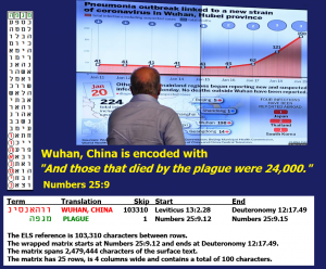 2016_A_A_A_China_wuhan_plague