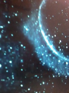 2016_Larry_Taylor_Nibiru_Sun