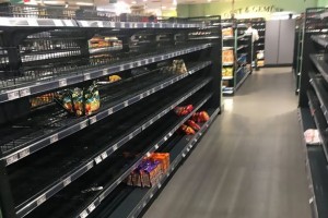 2016_Hal_Grocers_Empty-Stores
