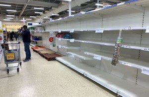 2016_Hal_Grocery2