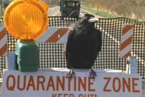 2016_Hal_QuarantineZone-KeepOut