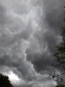 2016_Larry_Taylor_Storm_April_2020