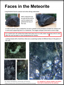 2016_A_A_A_Roffman_Embryo_Fossil_ebrahimi_meteorite_comments_censored