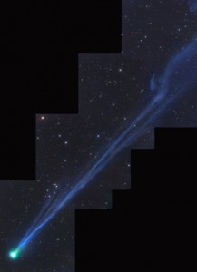 2016_SW_Comet_Swantail_strip_tail_outward