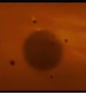 2016_Best_Soho_Nibiru1