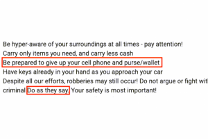 2016_Hal_MinneapolisPolice-ObeyCriminals
