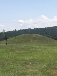 2016_Larry_Taylor_Mission_Aug25_mound