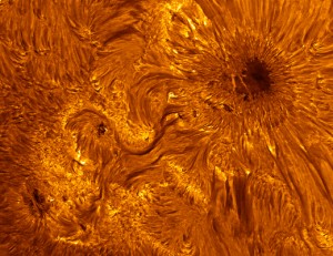 2016_SW_Sunspot_ar-new-big-nov27