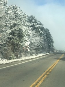 2016_Darnette_Poteau_MT_snow